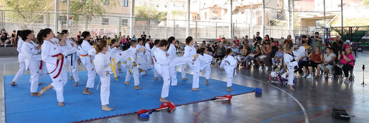 Tres exhibicions en dos dies