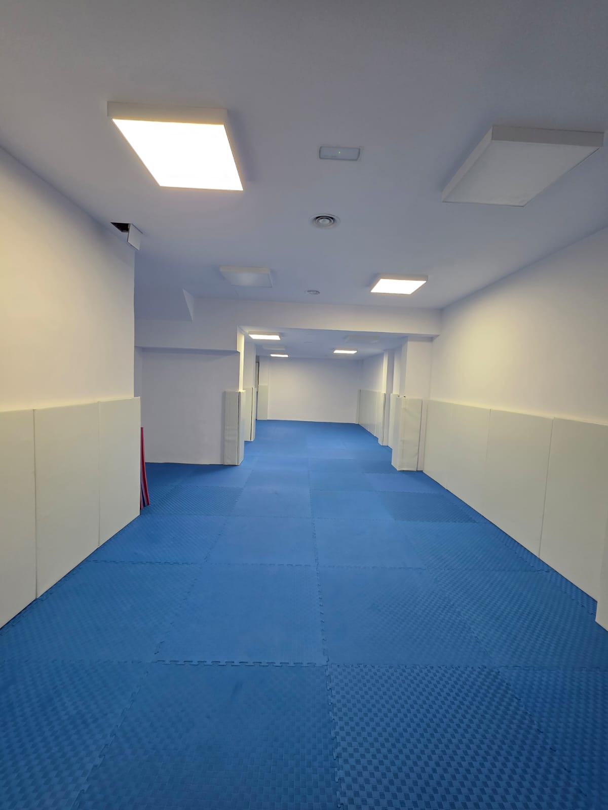 Espai principal del dojo Warriors